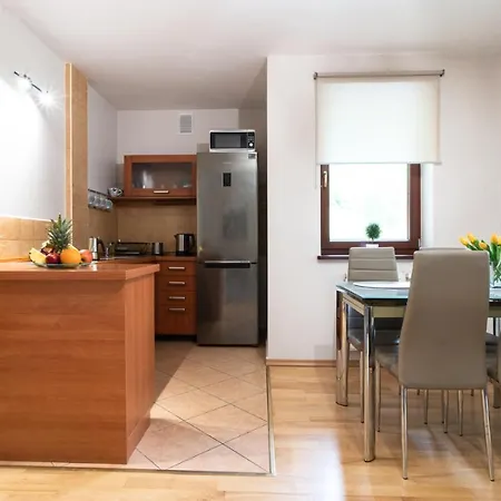 Pod Kozincem Apartment Zakopane